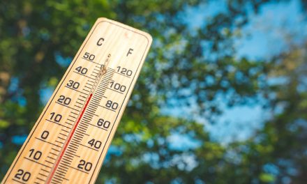 Veille active – Humidité et chaleur accablantes : préoccupez-vous des personnes vulnérables!