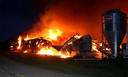 Incendie majeur d’une porcherie à Sainte-Marie-Salomé