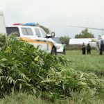 Lutte à la culture extérieure illicite de cannabis : les policiers à l’affût durant toute la saison