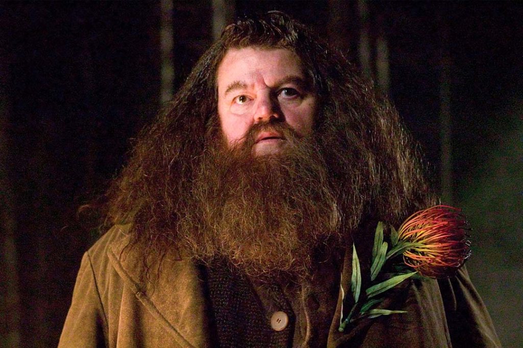 Décès Hagrid Robbie Coltrane